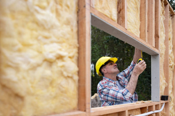 Best Insulation for New Construction  in Keokea, HI