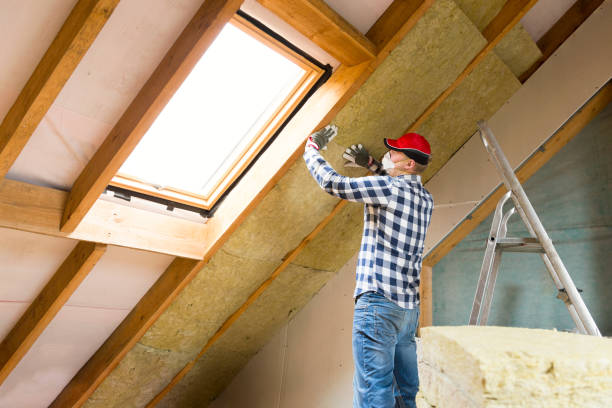 Best Attic Insulation Installation  in Keokea, HI