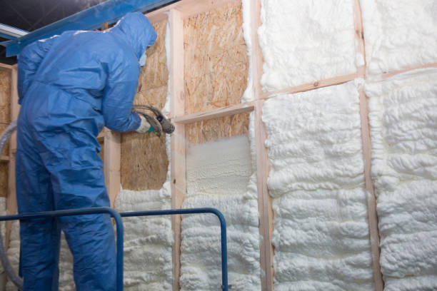 Best Commercial Insulation Services  in Keokea, HI